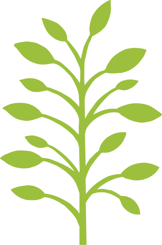 Canonbury Clinic logo