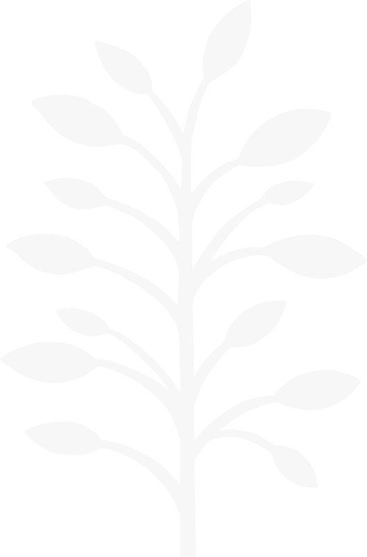 Canonbury Clinic logo